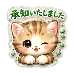 teo_20260520200521