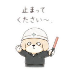 Miya_20260519232542