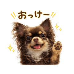 mimi_20260520003116