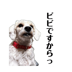 ViVi_20260520205629