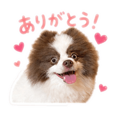 karaage_20260524094544