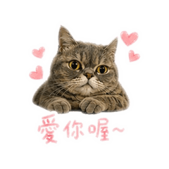 Q妹可愛貼圖第三版