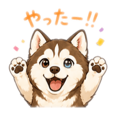 Shiberian daddy_20260520074036