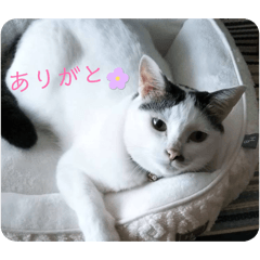 tsumujimaru_20260520133547