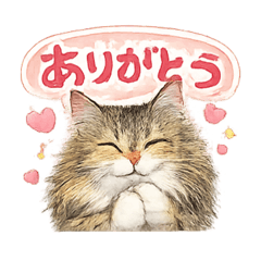 AOI_20260520095607