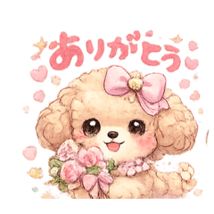 maami_20260520115603