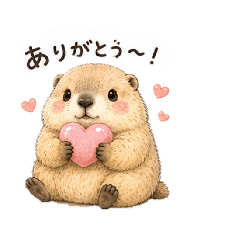 marmotoo