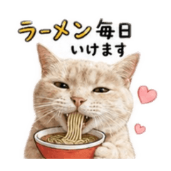 Feelings of Tora_20260520163917