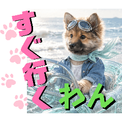 Nao_shichi_20260520200416