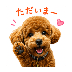 miki_20260520215222