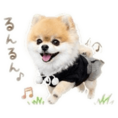 ako_20260520220743