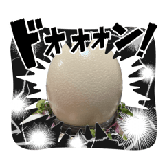 Mayu_20260520222247