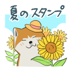 Summer Akita Dog Sticker
