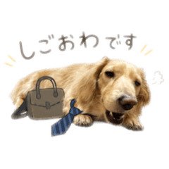 mochi_20260520220346