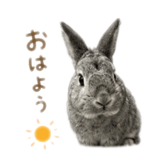 Linegi_20260520221020
