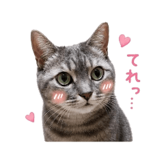 kana_20260520222536