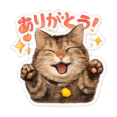 coco(cat)
