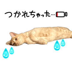 rikopin_20260520222734