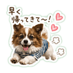 mugi_20260520223706
