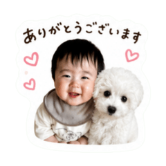piyo_20260520223645