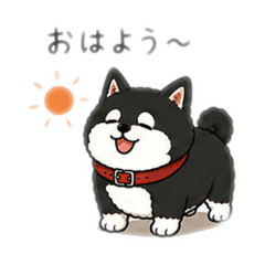 likuri_20260520224048