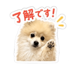 MOMO_20260520223700