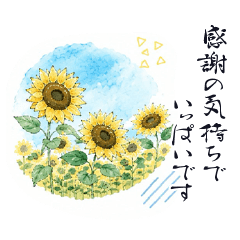 Polite language for adults in summer
