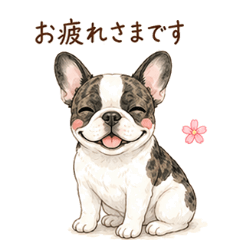 French Bulldog Polite Business Keigo