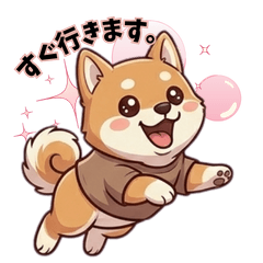 Lovely Shiba Inu 01