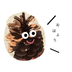 Pine cones c