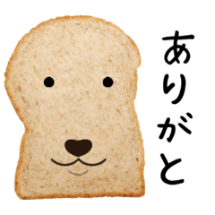 looks just like a Golden Retriever.