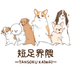 Meg-san_20260520225335