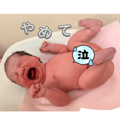 taiti_20260520232342
