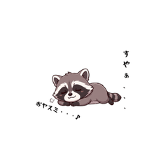 Cute Fluffy Raccoon