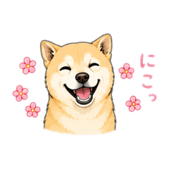 Mayu_20260520233953