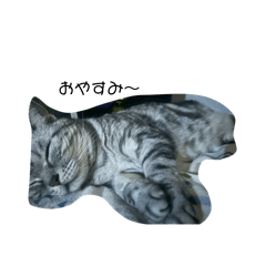 popo_20260520234147