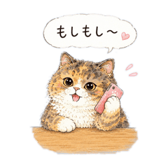 Momo_20260520234203