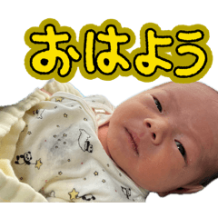 yasuharu_20260520234301