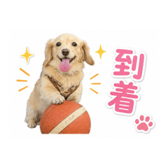MAYU_20260521001435
