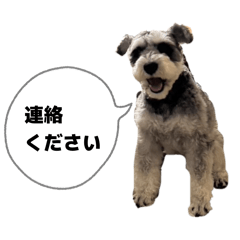 kanapon_20260521004404