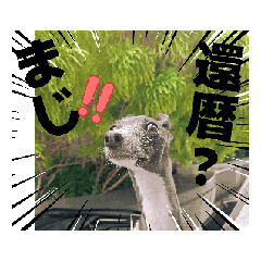 KARI_20260526115042