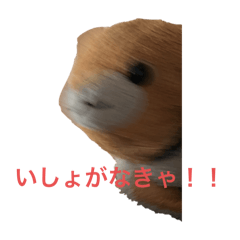 hhh_20260510090819
