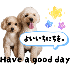 Aya_20260521014215
