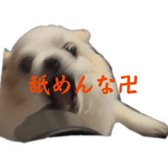 Rei_20260521022315