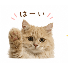 na-chan_20260521022129