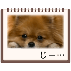 momo_20260521051623