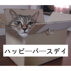 marucho_20260521