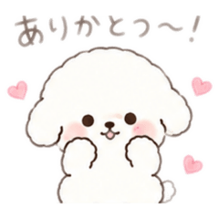 kumi_20260521071622