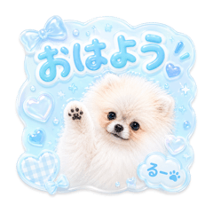 minachan_20260521071951