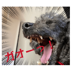 karaage_20260521070306